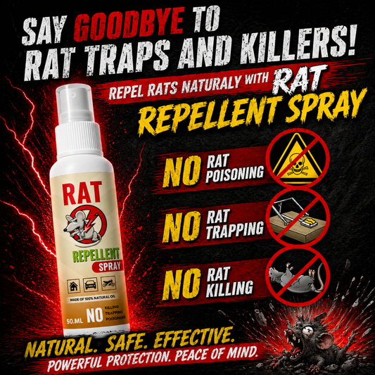 Rat Repellent Spray – Safe, Effective, and Eco-friendly